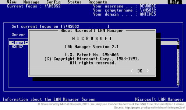 Microsoft LAN Manager Interface (1991)
